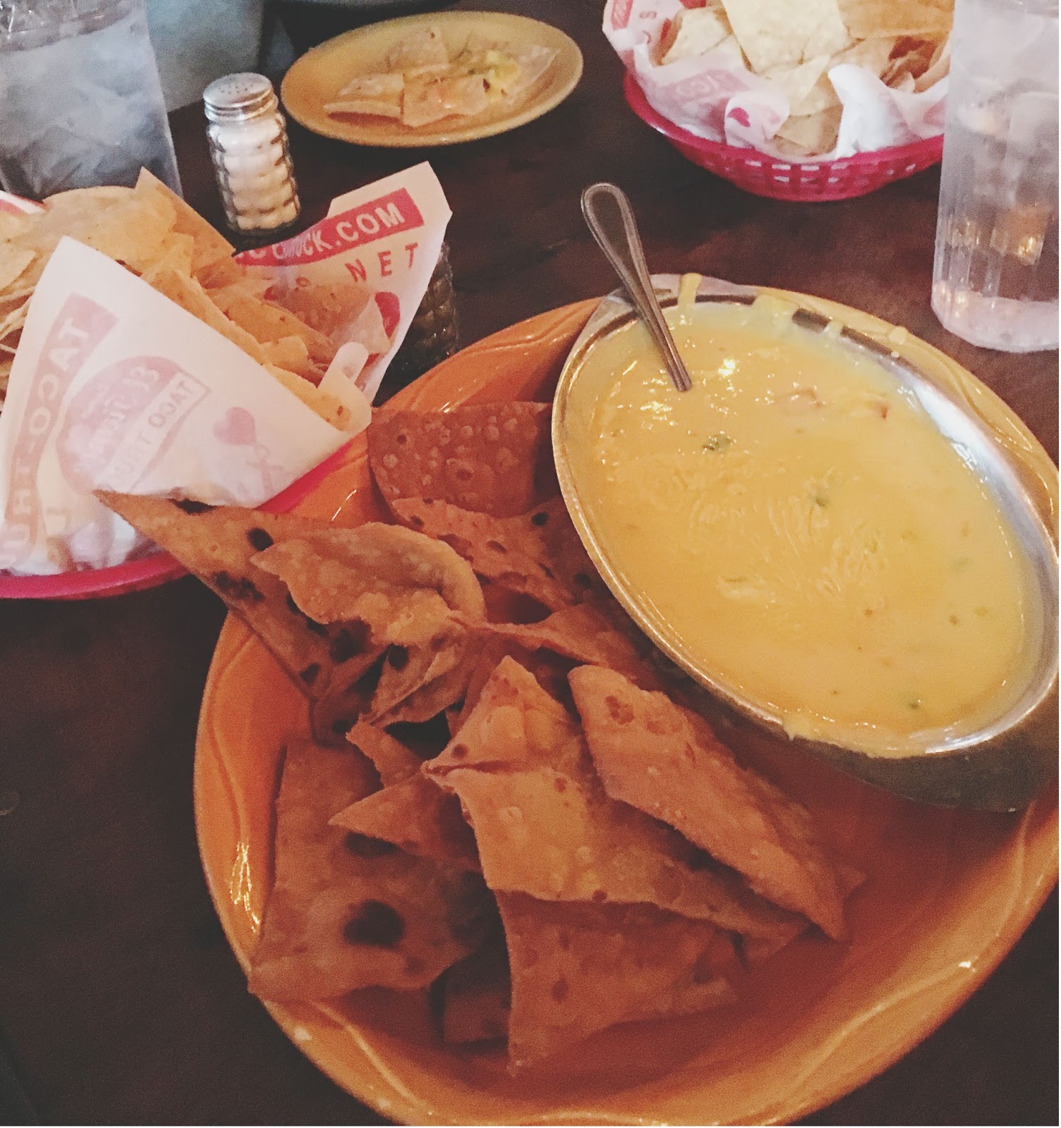 Visiting Houston February, 2016 Adventures in a New(ish) City