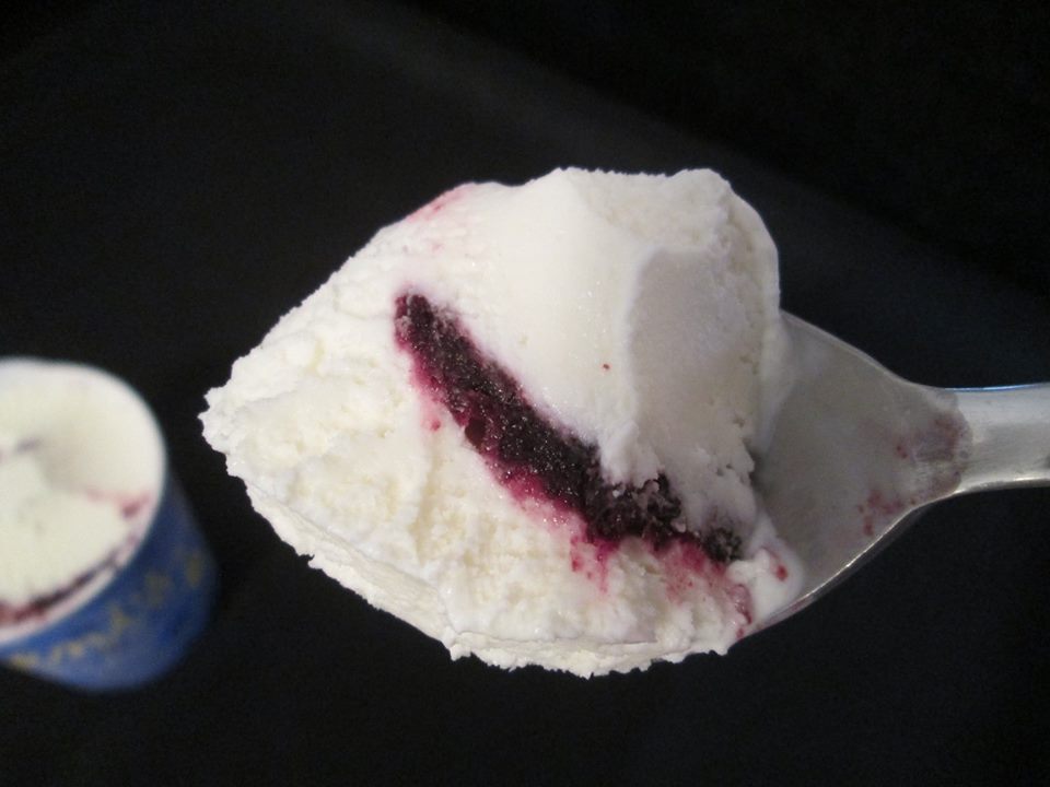 David's Ice Cream Reviews Jeni's Lemon & Blueberries Parfait