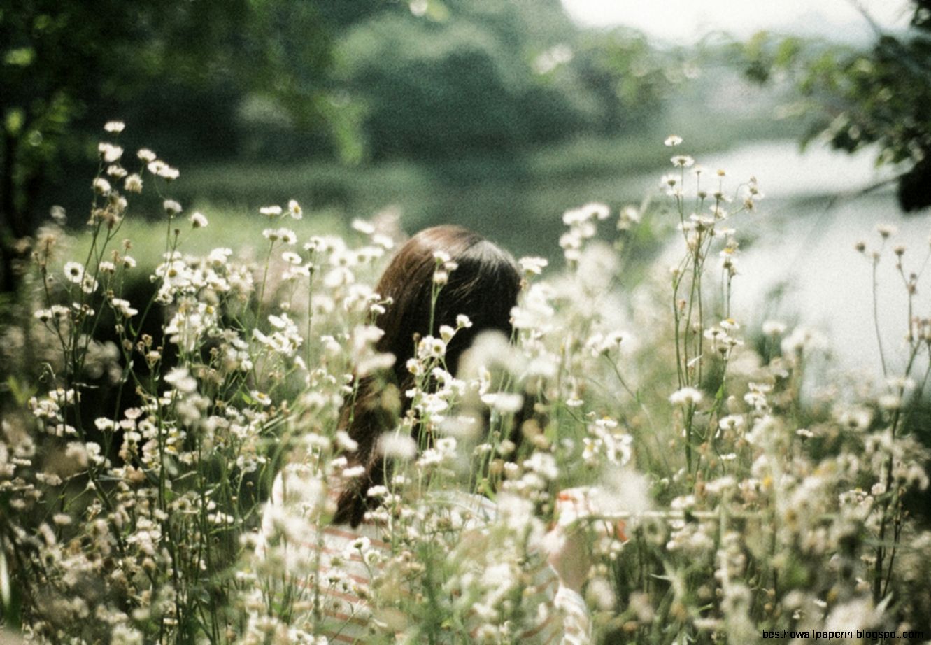 Daisy Photography Tumblr 3855 Wallpaper