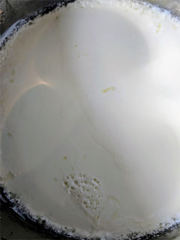 Instant Pot yogurt failure and success