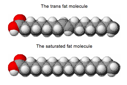 Fat Molecule Picture 116