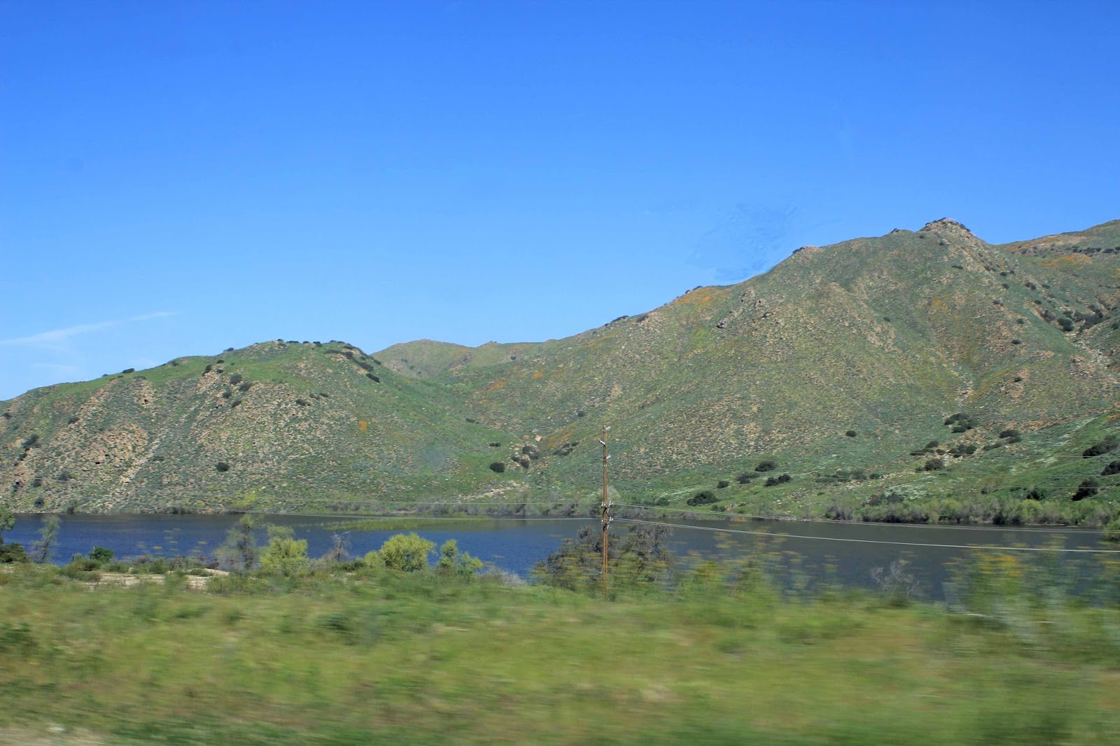 Western Sojourns Travels with Camissonia CORONA LAKE (Corona