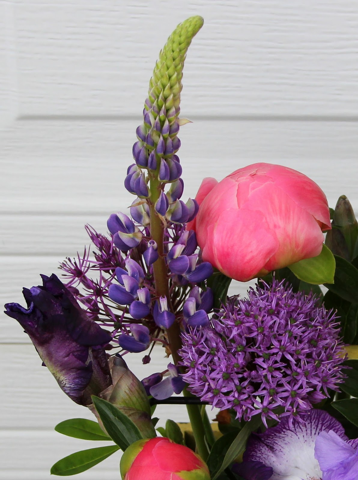 TALL BEARDED IRISES and ITOH PEONIES Neverending floral arrangement