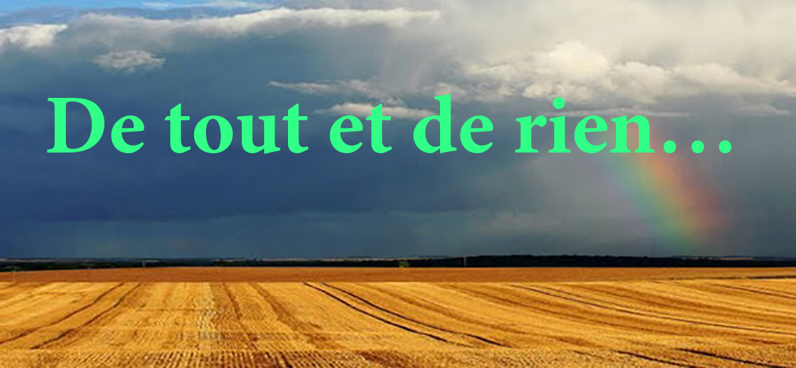 De tout et de rien...