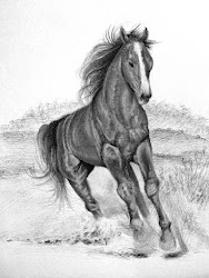 drawing horse step tutorial horses draw pencil sketch animals sketching tutorials background using side
