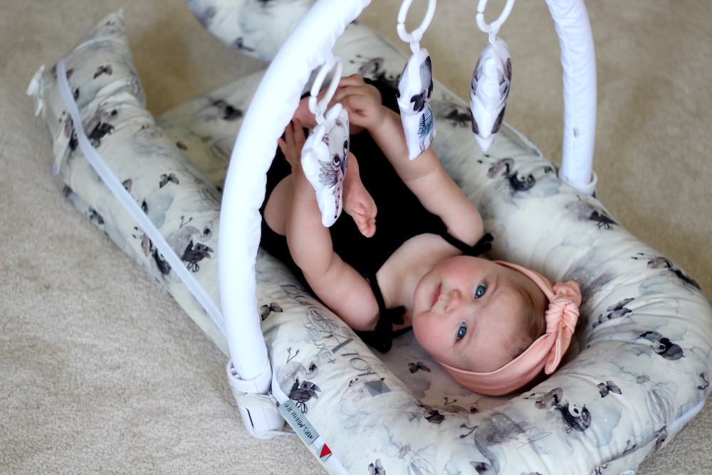 Wendy Correen Smith DockATot Deluxe+ and Toy Arch with Toy Set