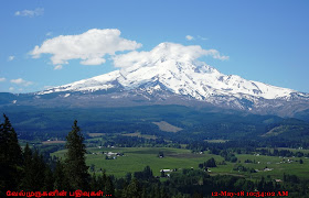 Mount Hood View from Bald Butte