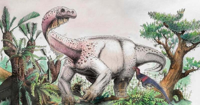 Newly named dinosaur species named largest land animal of its time
