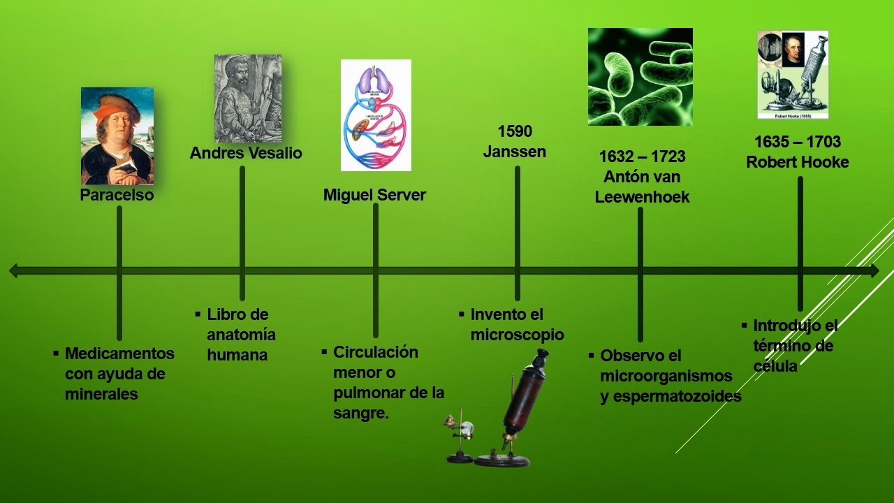 Linea De Tiempo Historia De La