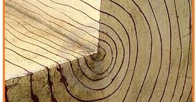 Get Contoh Soal Pg Biologi Kelas Xii 18 Gallery