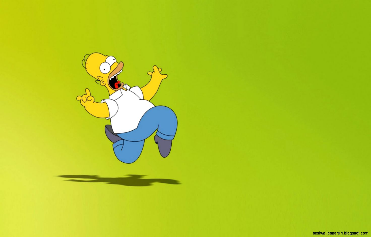 Homer Simpson Cartoon