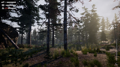 Before Nightfall Summertime Game Screenshot 5