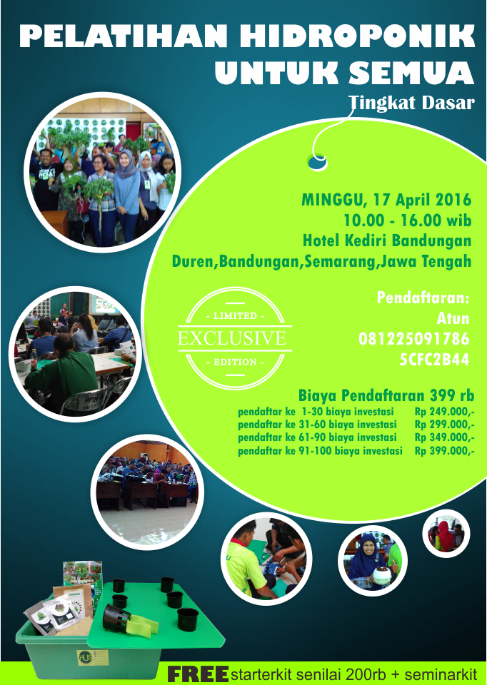 Maret 2016 cara menanam sayuran hidroponik mudah dan murah