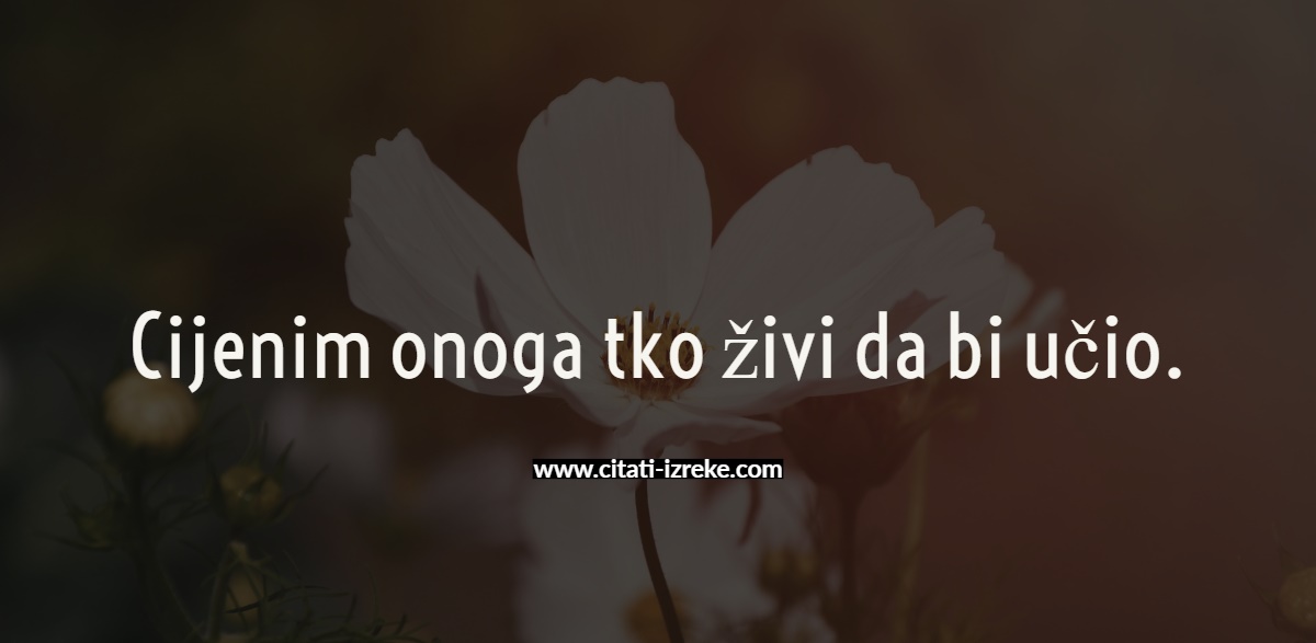 Citati o druženju