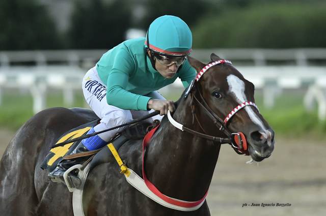Faraon Keops corre hoy el Clásico Diamond Jubilee en Palermo Faraon Keops Easing Along Palermo