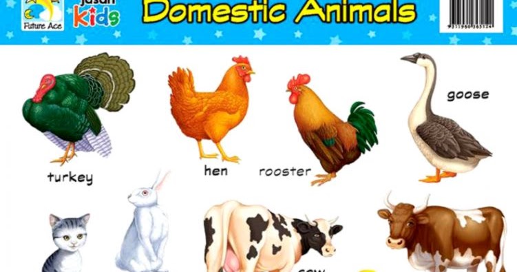 Domestic Animals Chart | Mega Wallpapers