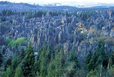 Yunnan Stone Forest, China