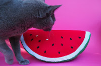 http://www.colouredbuttons.com/2016/07/watermelon-softie-for-sew-a-softie-day.html
