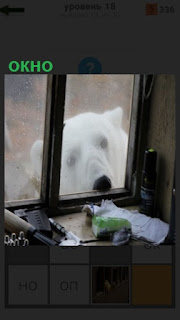 1100 слов медведь смотрит в окно 18 уровень