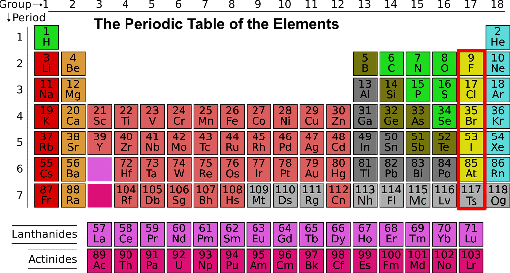 हैलोजन Halogen BHARAT GK