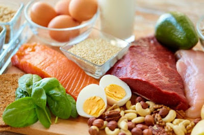 protein options for muscle protein synthesis compressor احتياجات الجسم من البروتين