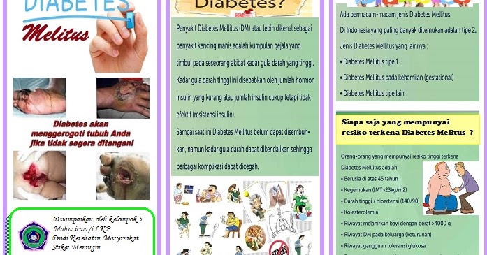 Ani Romaningsih: leaflet diabetes melitus