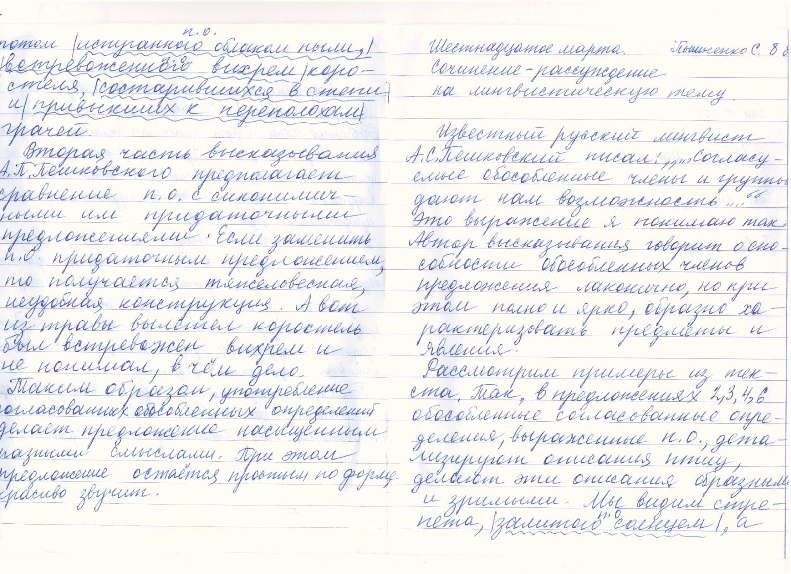 Любое сочинение на русском. Сочинение. Сочинение на тему. Мини сочинение по теме. Сочинение для первого класса.