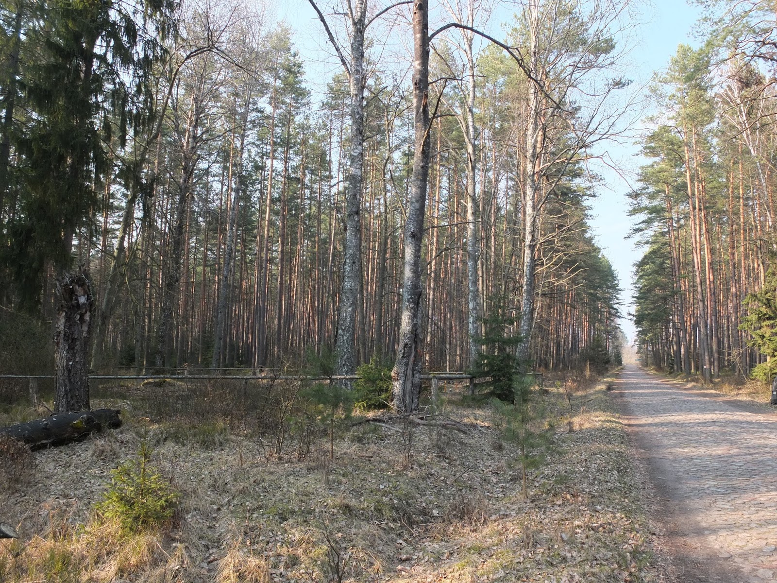 Powiat szczycieński i okolice historia, zabytki i archiwalia Zimna