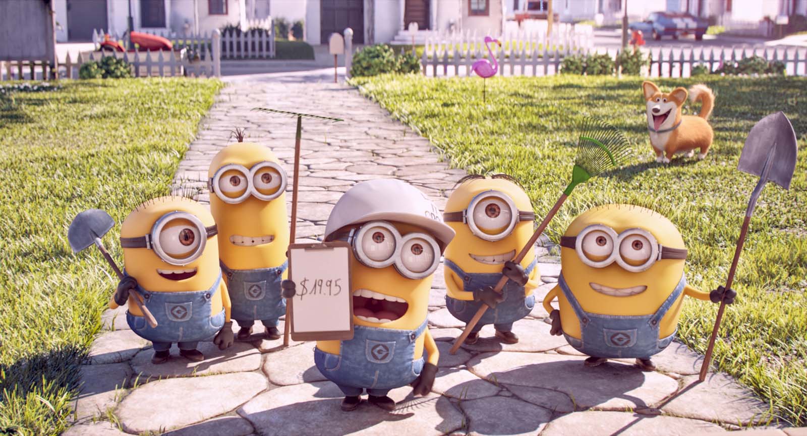 L'Alligatographe Minions en herbe