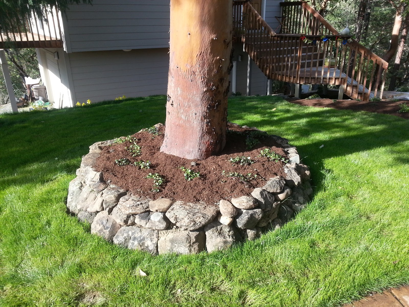 Hill Top Landscaping Finished Landscape By Hill Top Landscaping