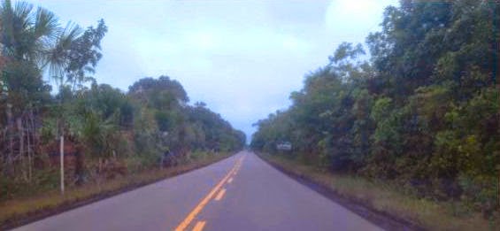 Entre Manaus, a capital do Amazonas, até a fronteira com a Venezuela, são 994 km percorridos pela BR 174, que passa também por Boa Vista, em Roraima.
