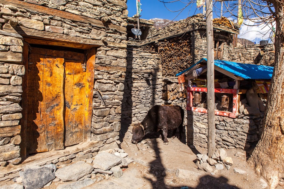 200км по красно-белым черточкам.. Around Annapurna. март-апрель 2017