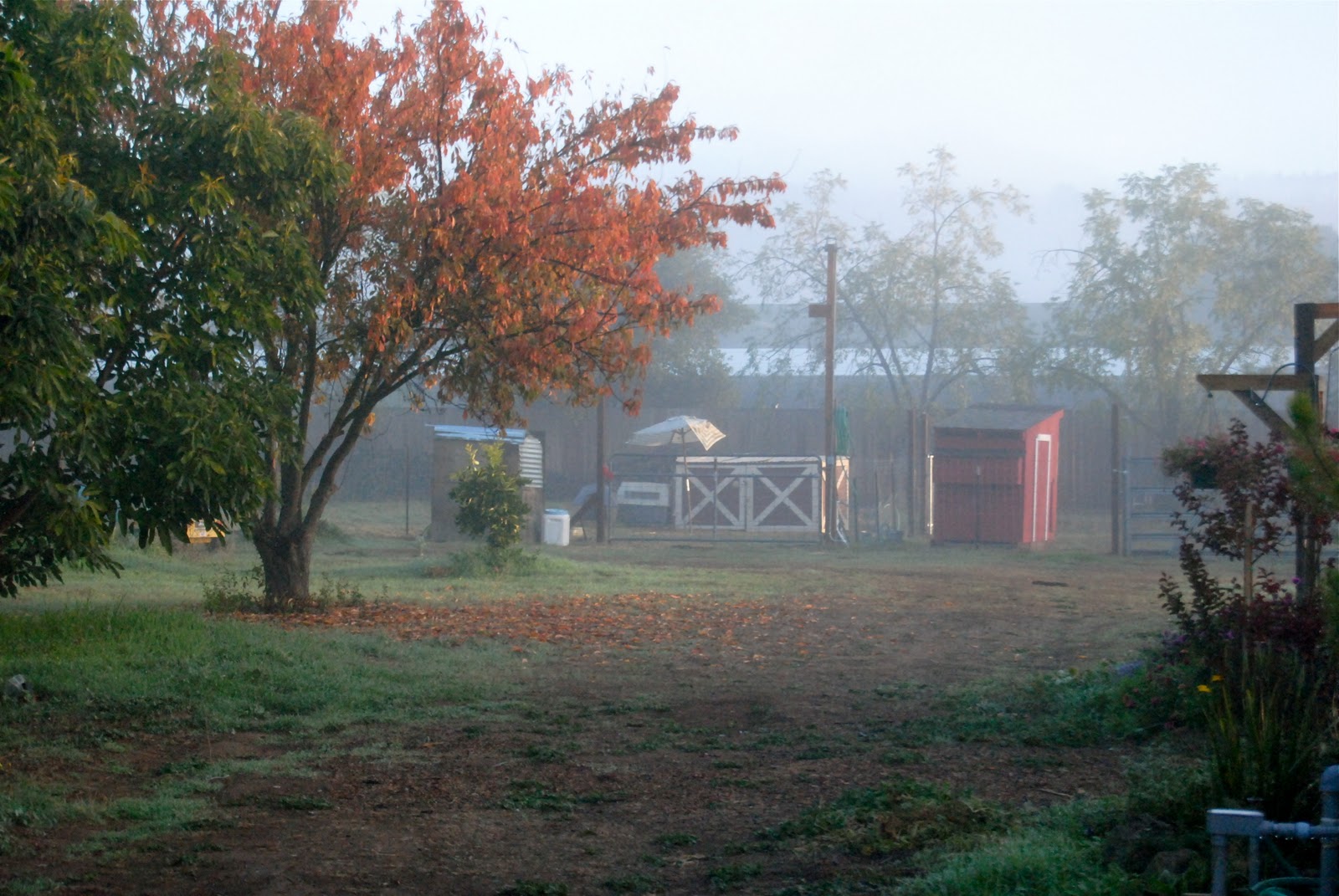 Knapp Times Life on the Knapp Farm