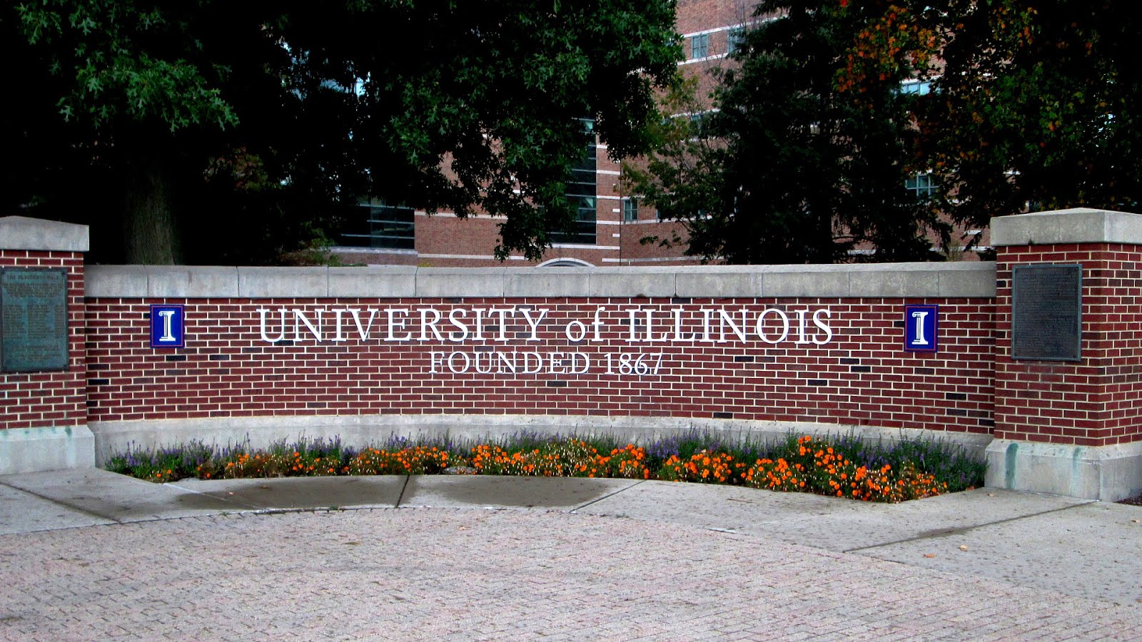 University Of Illinois School Of Law Portal Entrepreneurs