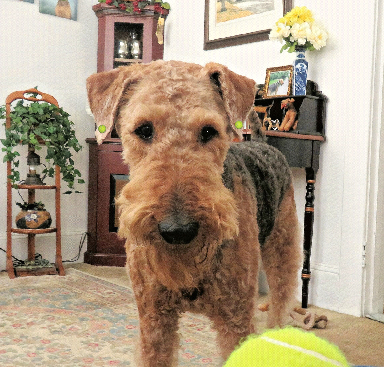 Molly The Aire Tennis Ball Earrings Tennis Ball Earrings