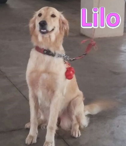 Lilo