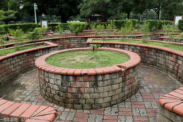 台中北屯|廍子公園|黃花風鈴木|滑板場|巨人腳印公園|綠籬迷宮|生態池|拱橋 台中北屯|廍子公園|黃花風鈴木|滑板場|巨人腳印公園|綠籬迷宮|生態池|拱橋