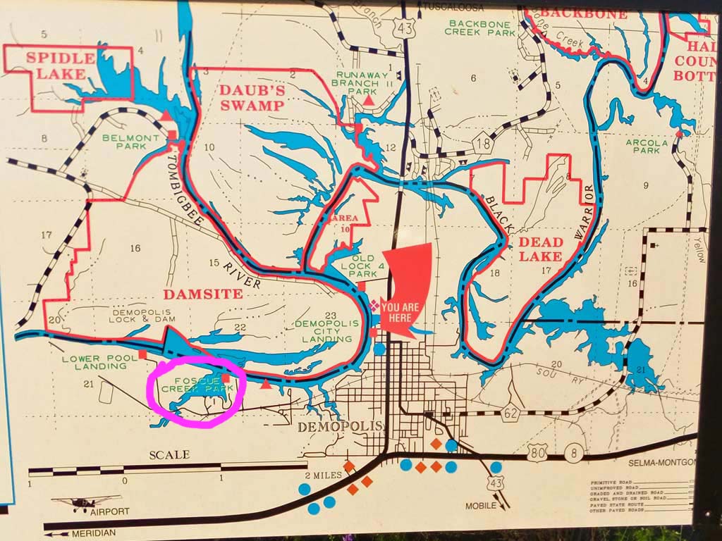 Kayaking the MobileTensaw River Delta 05/10/2012 Demopolis Vacation