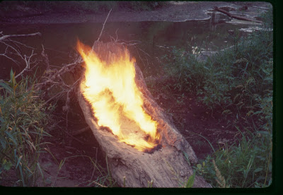How did ana mendieta die picture