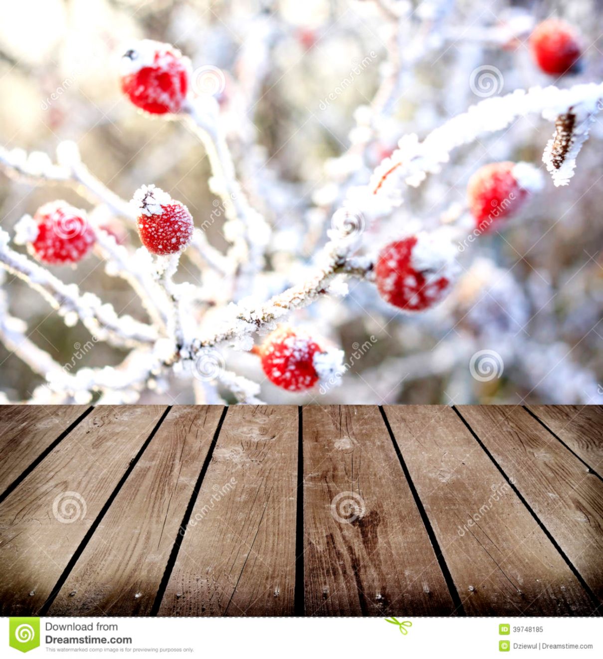 Frozen Red Berries Winter
