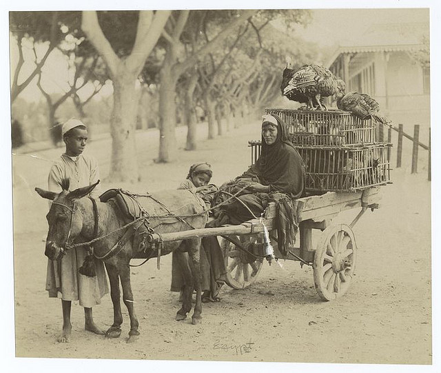 Egypt. 1860s-1920s. The New York Public Library. Photography Collection, Miriam and Ira D. Wallach Division of Art, Prints and Photographs.