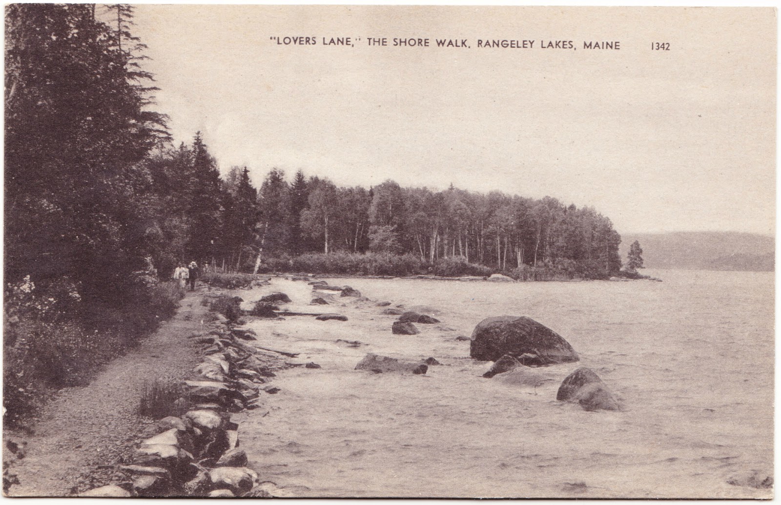 Papergreat Lovers Lane, along the shore of Rangeley Lakes in Maine
