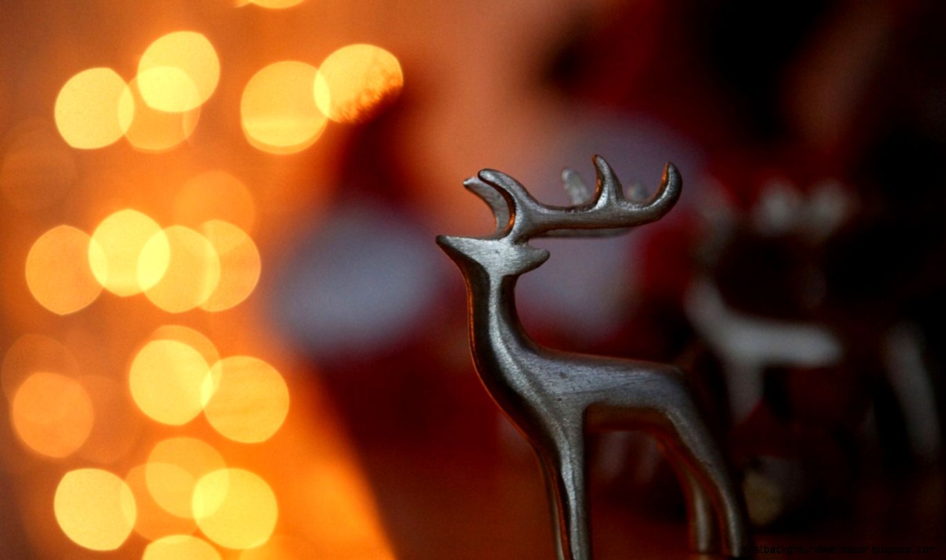 Free Reindeer Christmas Lights computer desktop wallpaper
