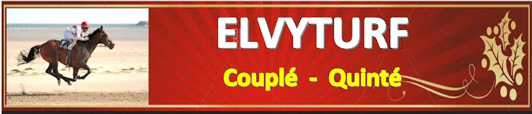ELVYTURF : Couplé - Quinté