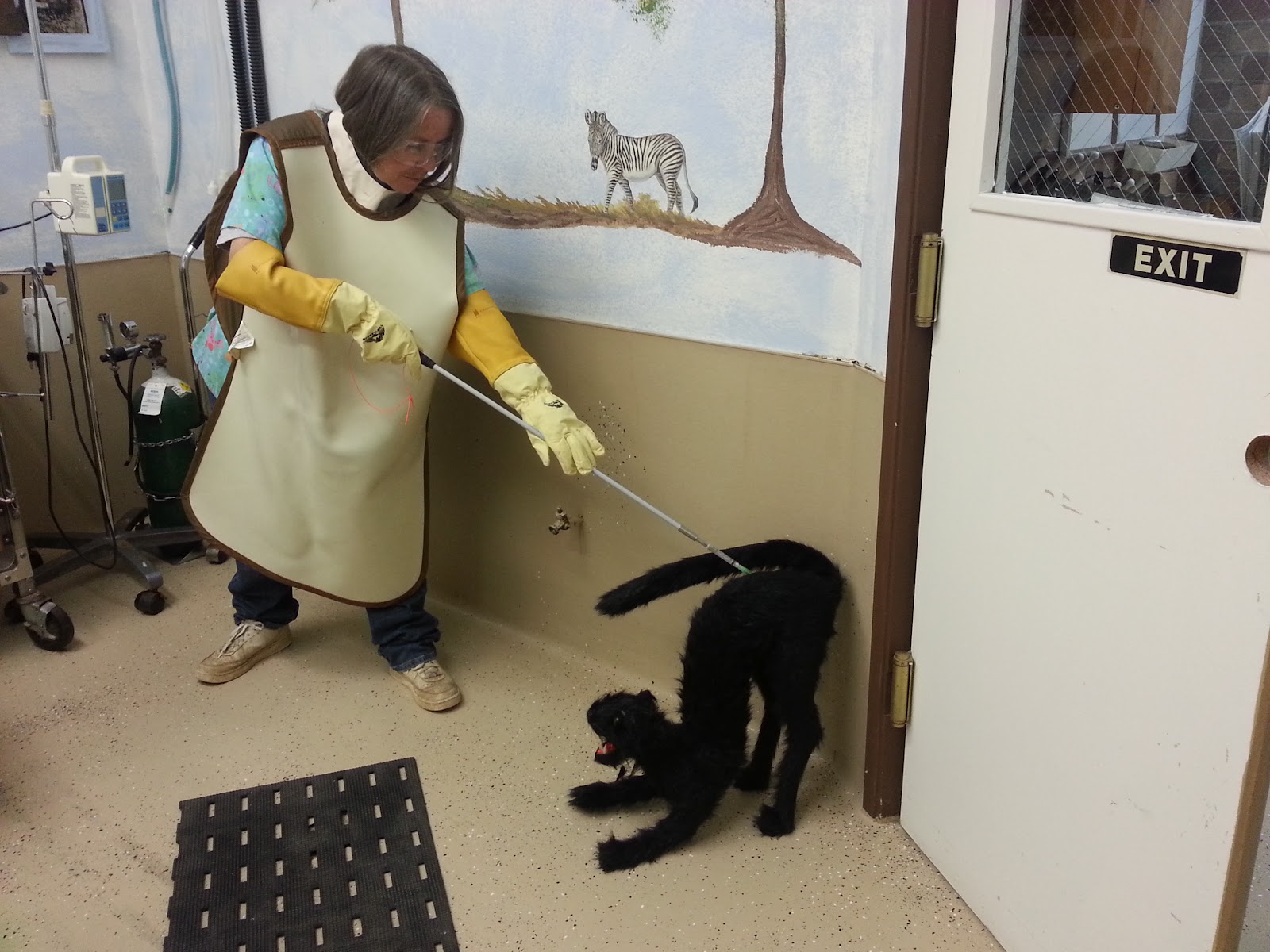 South San Diego Veterinary Hospital