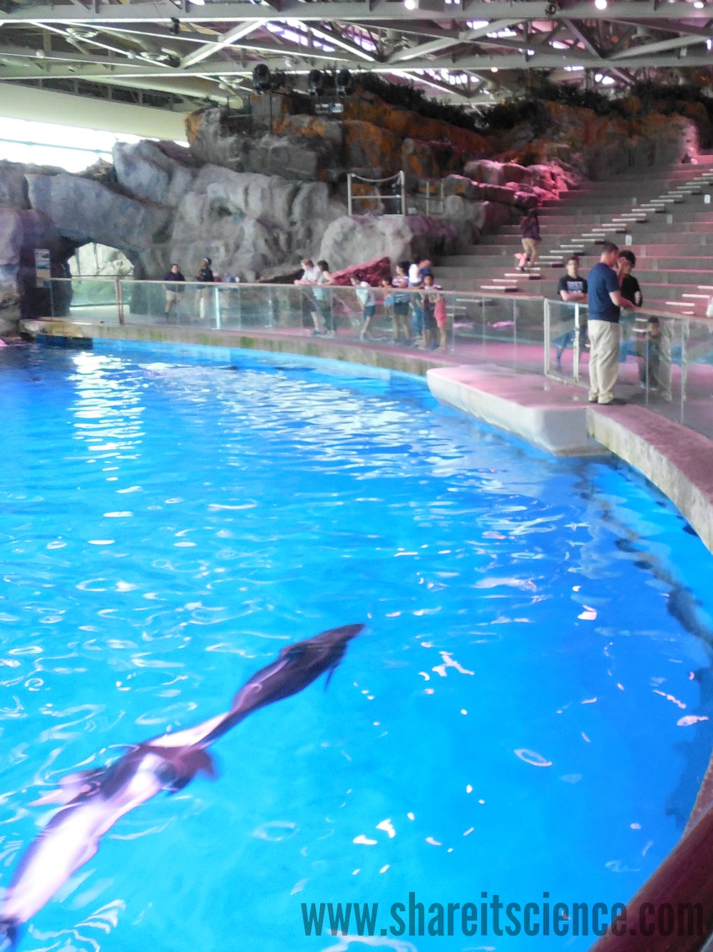 abbott oceanarium abbott oceanarium