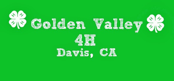 Golden Valley 4-H