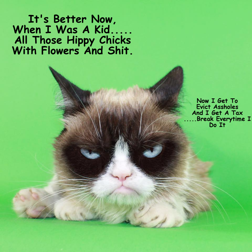 Grumpy Cat MeMe's By Gary 2017
