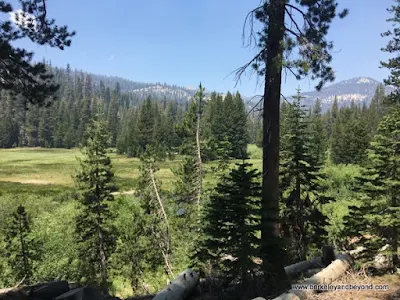 scenic view at Devils Postpile National Monument in Mammoth Lakes, California