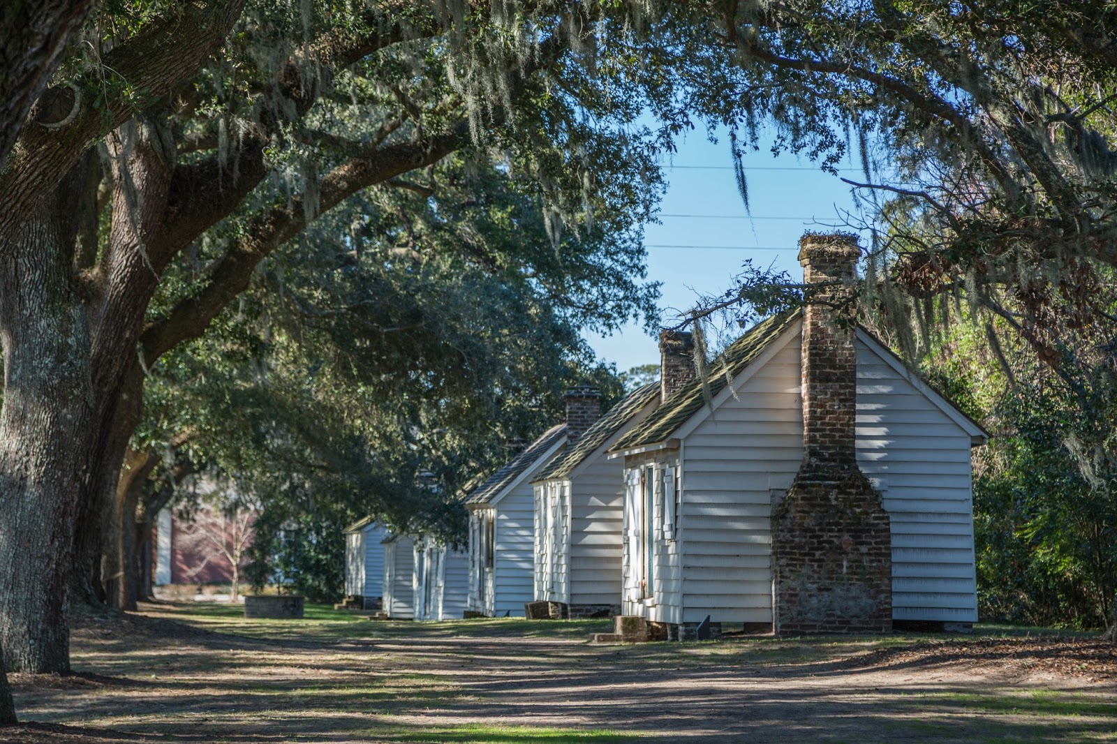 Charleston Daily Photo McLeod Plantation